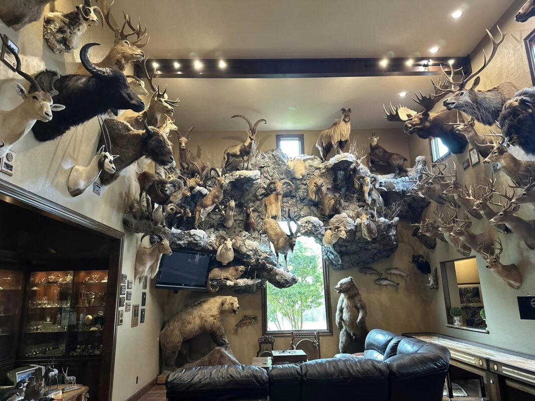 Price List - BUCKHORN TAXIDERMY